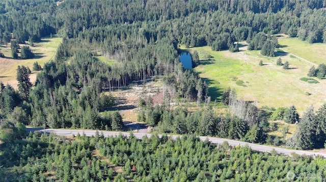 382X1 Lost Mountain Rd, Sequim, WA 98382 - photo 21