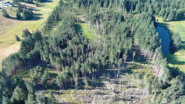 382X1 Lost Mountain Rd, Sequim, WA 98382 - photo 20
