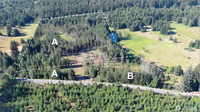 382X1 Lost Mountain Rd, Sequim, WA 98382 - photo 5