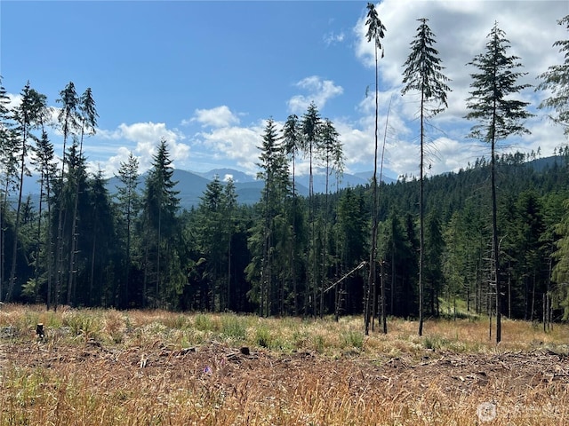 382X1 Lost Mountain Rd, Sequim, WA 98382 - photo 8