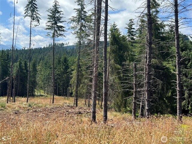 382X1 Lost Mountain Rd, Sequim, WA 98382 - photo 26