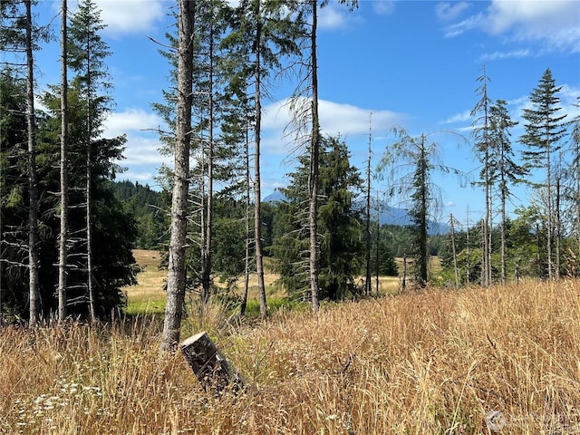 382X1 Lost Mountain Rd, Sequim, WA 98382 - photo 27