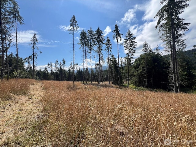 382X1 Lost Mountain Rd, Sequim, WA 98382 - photo 24