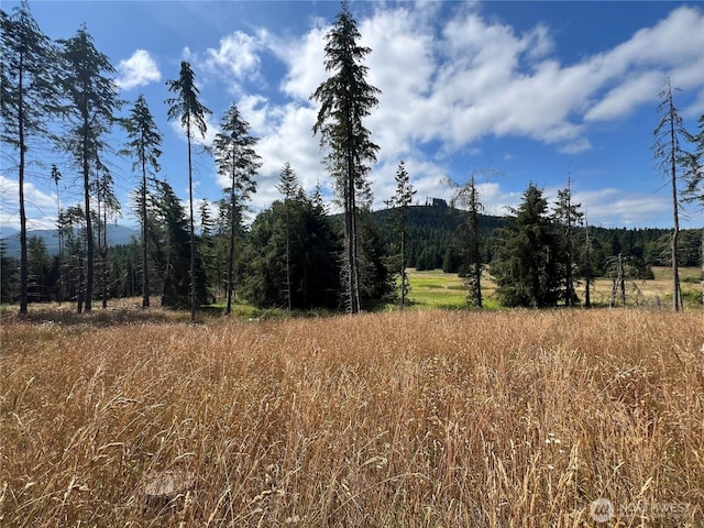 382X1 Lost Mountain Rd, Sequim, WA 98382 - photo 7