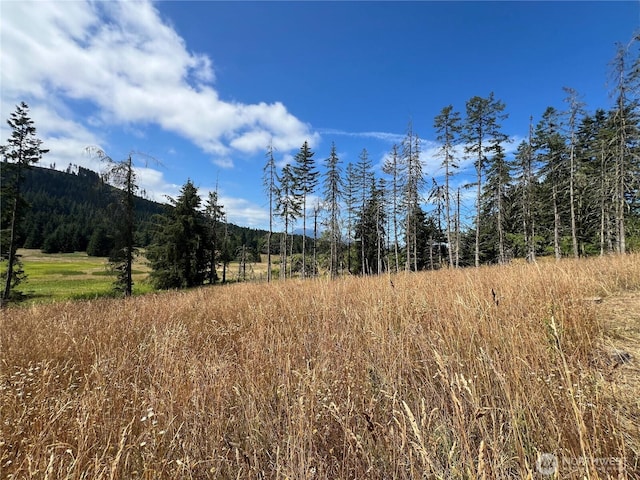 382X1 Lost Mountain Rd, Sequim, WA 98382 - photo 6