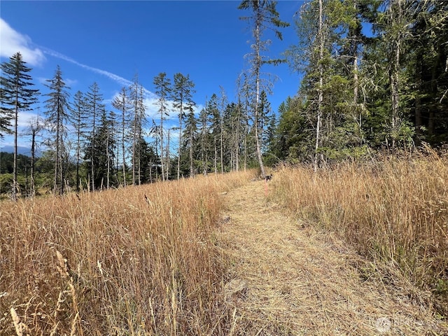382X1 Lost Mountain Rd, Sequim, WA 98382 - photo 23