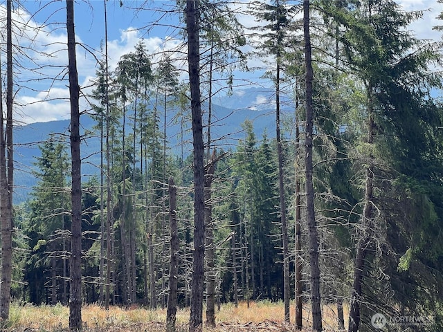 382X1 Lost Mountain Rd, Sequim, WA 98382 - photo 28
