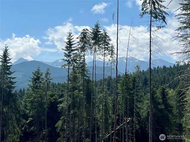 382X1 Lost Mountain Rd, Sequim, WA 98382 - photo 29