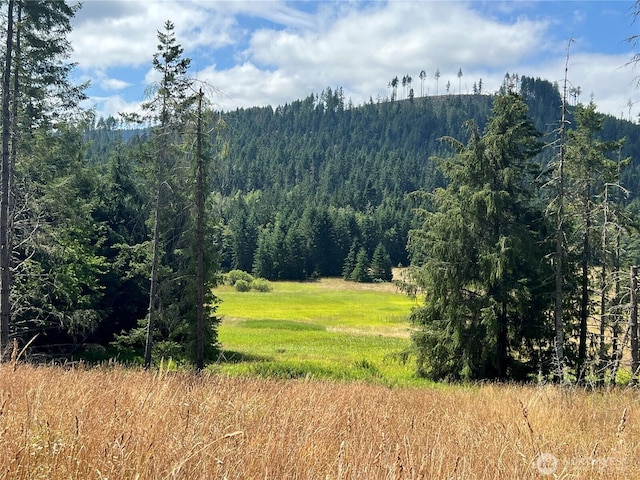 382X1 Lost Mountain Rd, Sequim, WA 98382 - photo 3