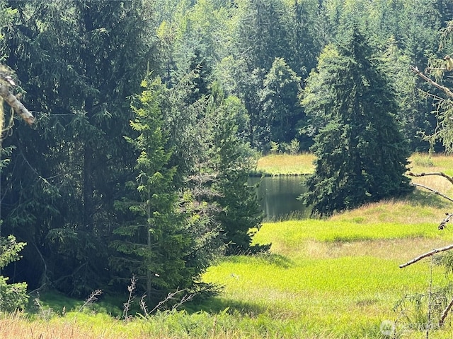 382X1 Lost Mountain Rd, Sequim, WA 98382 - photo 4