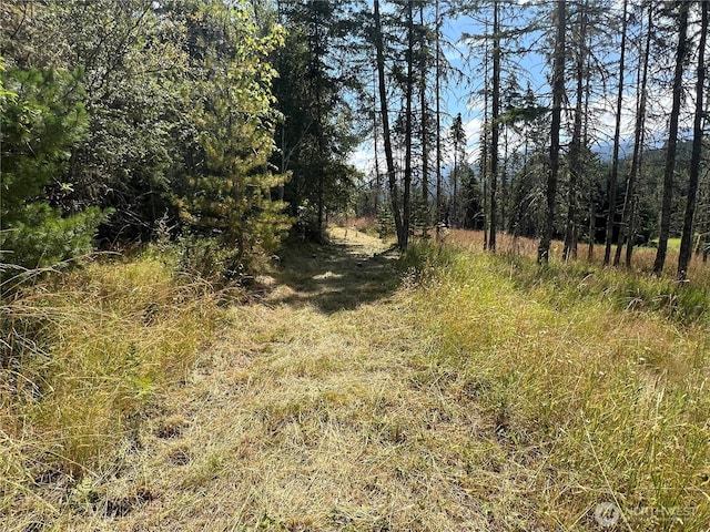 382X1 Lost Mountain Rd, Sequim, WA 98382 - photo 22