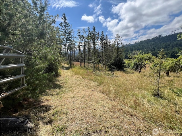 382X1 Lost Mountain Rd, Sequim, WA 98382 - photo 2