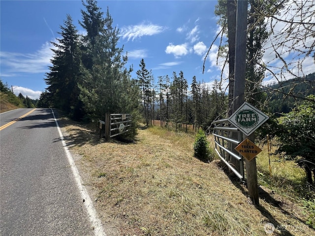382X1 Lost Mountain Rd, Sequim, WA 98382 - photo 1