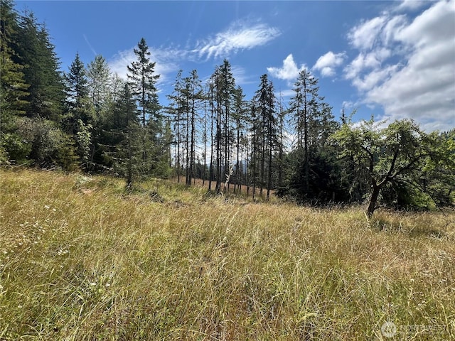 382X1 Lost Mountain Rd, Sequim, WA 98382 - photo 25