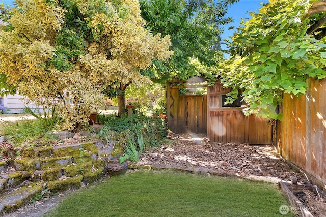 142N 84th St, Seattle, WA 98103 - photo 15