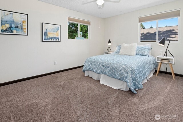 4524 Carnaby St, Kent, WA 98032 - photo 23