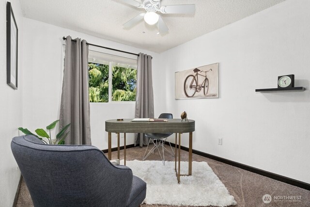 4524 Carnaby St, Kent, WA 98032 - photo 26