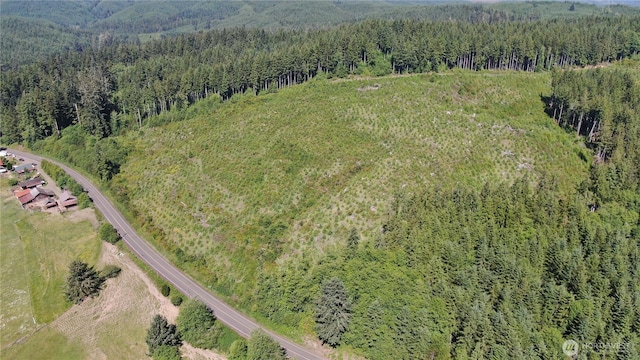 0 Butte Creek Rd, Raymond, WA 98577 - photo 2