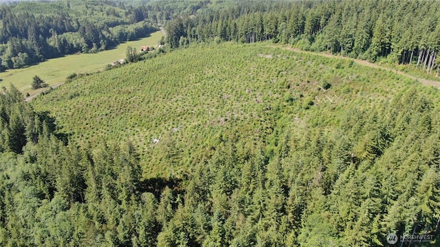 0 Butte Creek Rd, Raymond, WA 98577 - photo 3