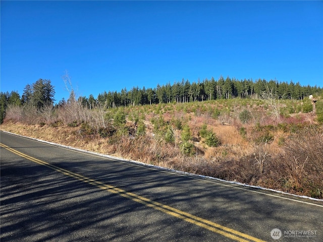0 Butte Creek Rd, Raymond, WA 98577 - photo 5