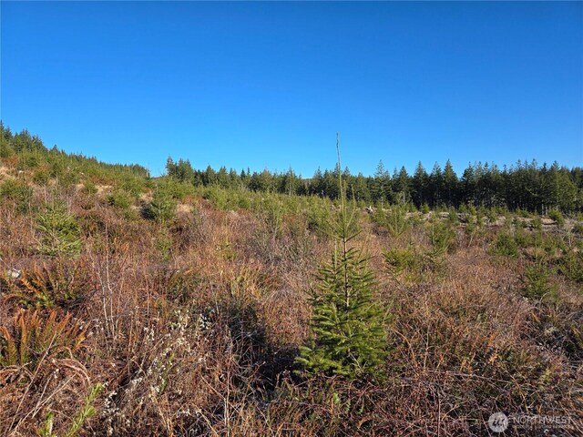 0 Butte Creek Rd, Raymond, WA 98577 - photo 7