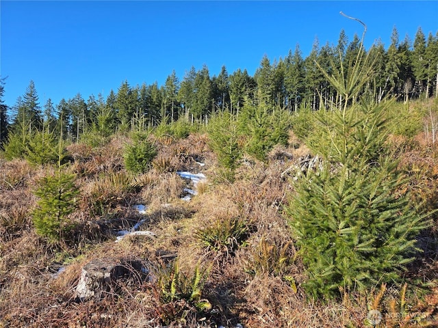 0 Butte Creek Rd, Raymond, WA 98577 - photo 8