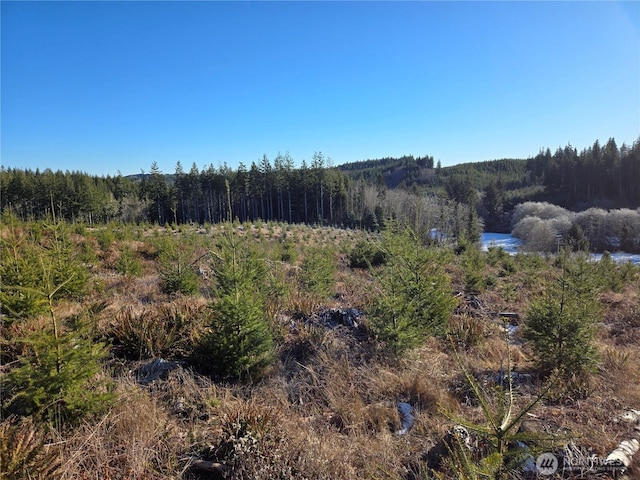 0 Butte Creek Rd, Raymond, WA 98577 - photo 10
