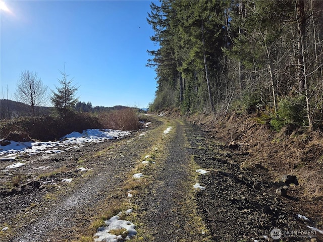 0 Butte Creek Rd, Raymond, WA 98577 - photo 11