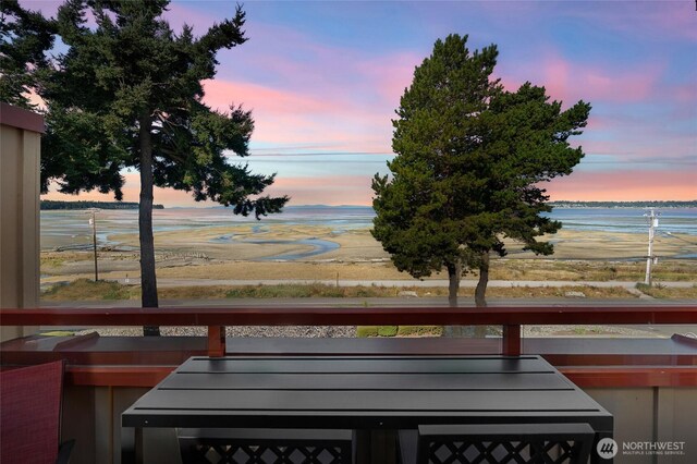 7714 Birch Bay Dr Unit 402, Blaine, WA 98230 - photo 14