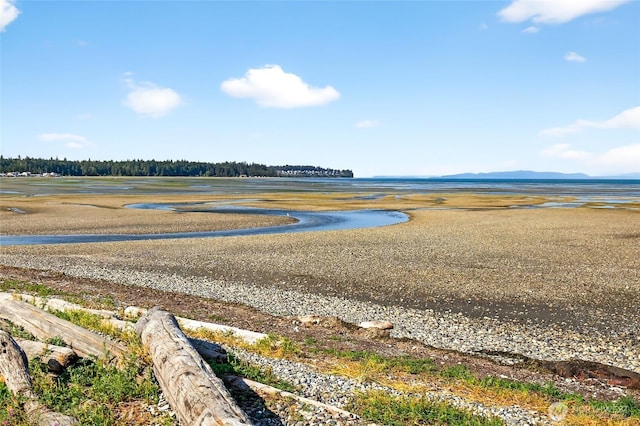 7714 Birch Bay Dr Unit 402, Blaine, WA 98230 - photo 33