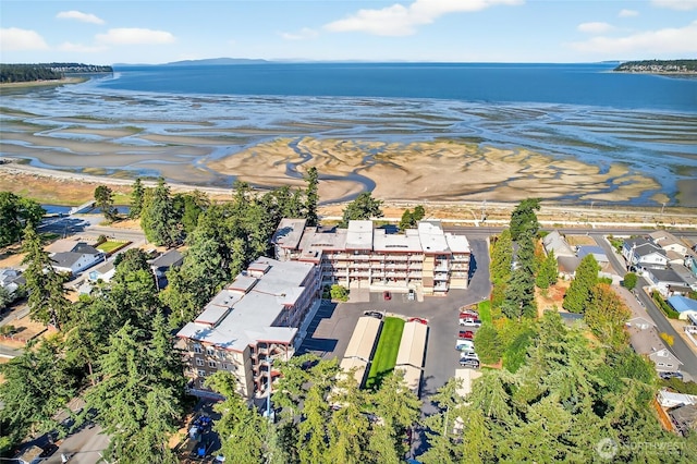 7714 Birch Bay Dr Unit 402, Blaine, WA 98230 - photo 31