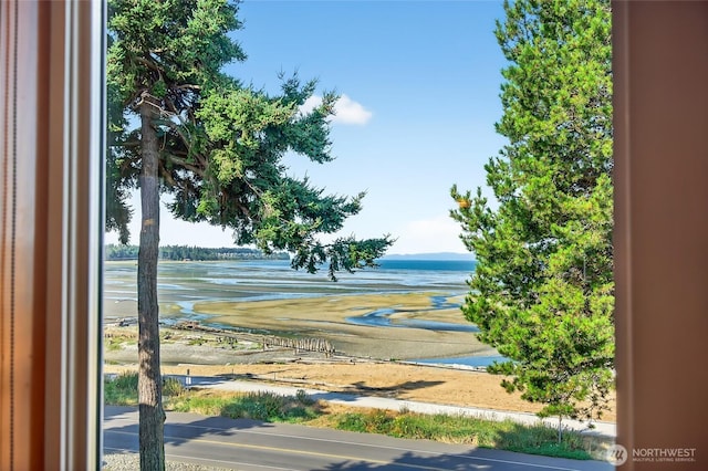 7714 Birch Bay Dr Unit 402, Blaine, WA 98230 - photo 8