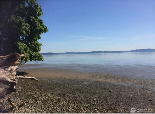 2711 142nd Ave SW, Lakebay, WA 98349 - photo 14