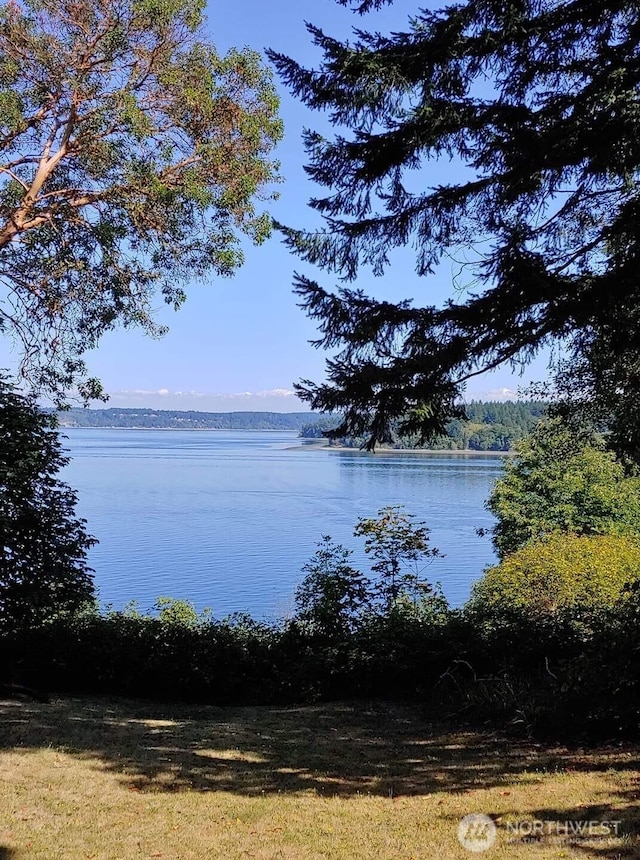 2711 142nd Ave SW, Lakebay, WA 98349 - photo 13