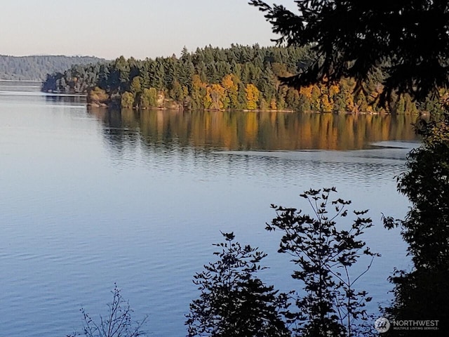 2711 142nd Ave SW, Lakebay, WA 98349 - photo 15