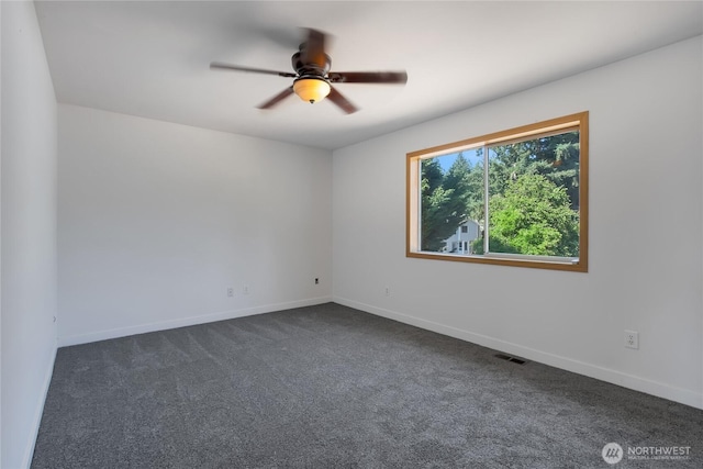 3102 240th Street Ct E, Spanaway, WA 98387 - photo 14