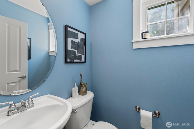 63 Etruria St Unit B, Seattle, WA 98109 - photo 11
