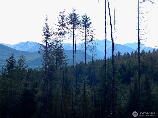 3523 Lost Mountain Rd, Sequim, WA 98382 - photo 5