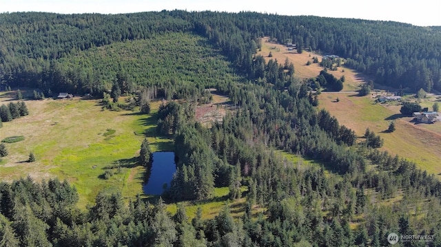 3523 Lost Mountain Rd, Sequim, WA 98382 - photo 13