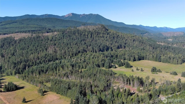 3523 Lost Mountain Rd, Sequim, WA 98382 - photo 14
