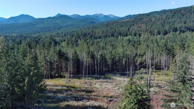 3523 Lost Mountain Rd, Sequim, WA 98382 - photo 15
