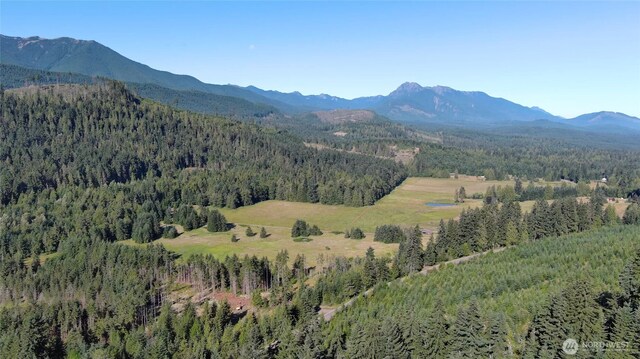 3523 Lost Mountain Rd, Sequim, WA 98382 - photo 16