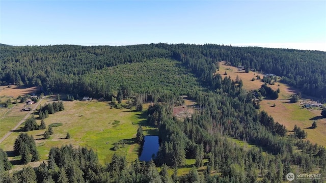 3523 Lost Mountain Rd, Sequim, WA 98382 - photo 18