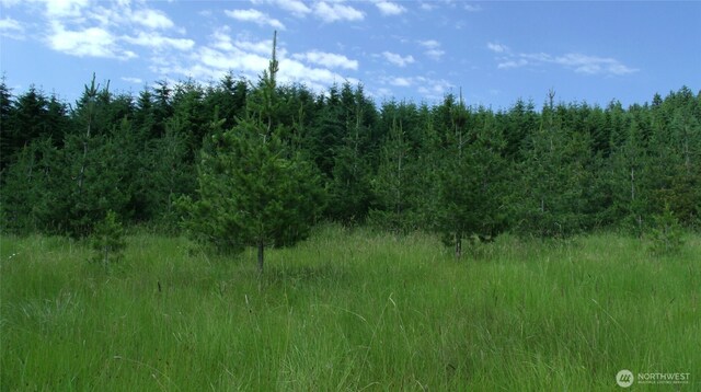 3523 Lost Mountain Rd, Sequim, WA 98382 - photo 8
