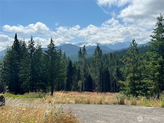 3523 Lost Mountain Rd, Sequim, WA 98382 - photo 1
