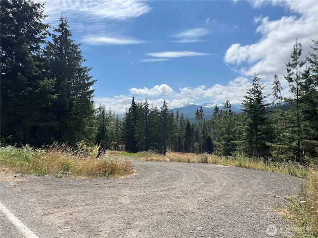 3523 Lost Mountain Rd, Sequim, WA 98382 - photo 3