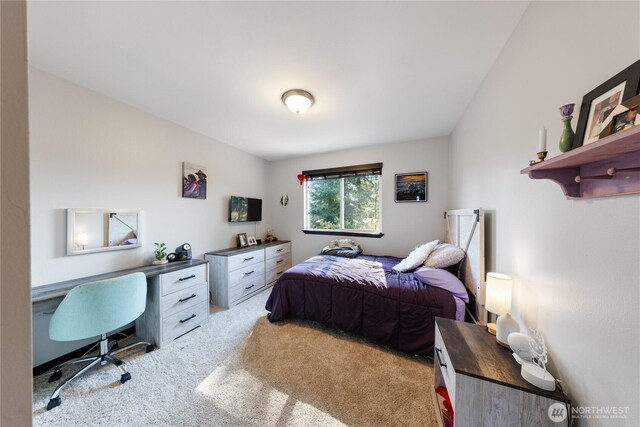 1280 NW Lofton Loop, Oak Harbor, WA 98277 - photo 22