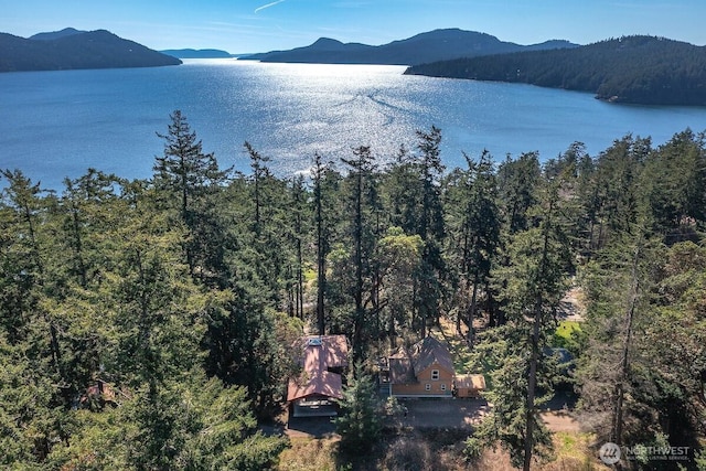 25 Huckleberry Way, Orcas Island, WA 98245 - photo 4