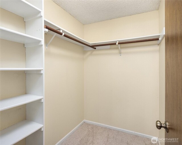 9504 Ravenna Ave NE Unit 203, Seattle, WA 98115 - photo 14