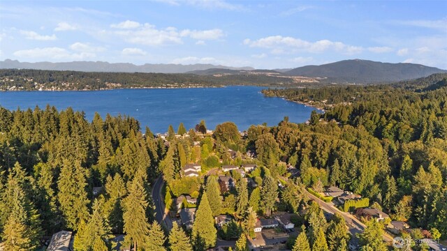3410 166th Ave SE, Bellevue, WA 98008 - photo 40